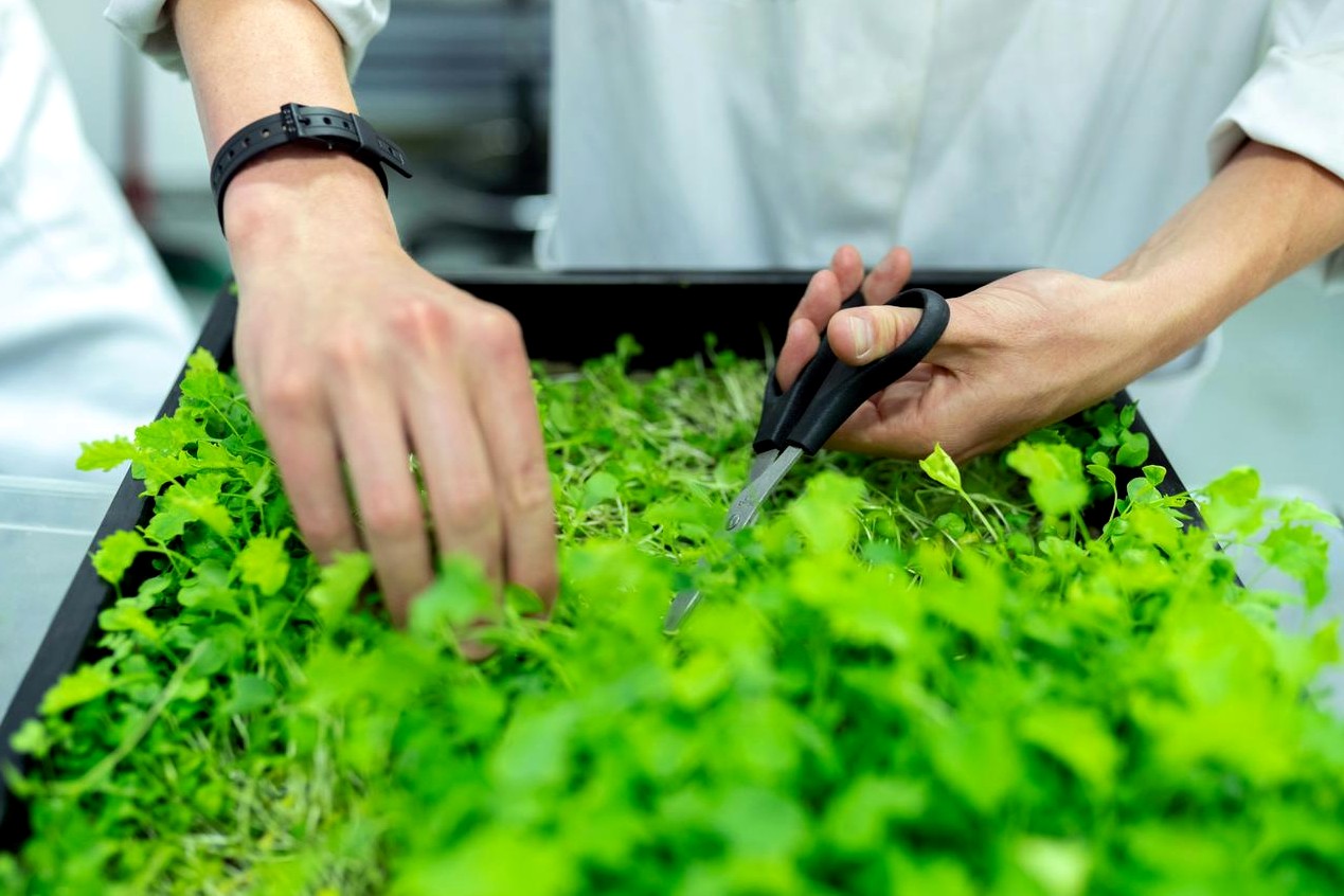 Familia beneficiaria