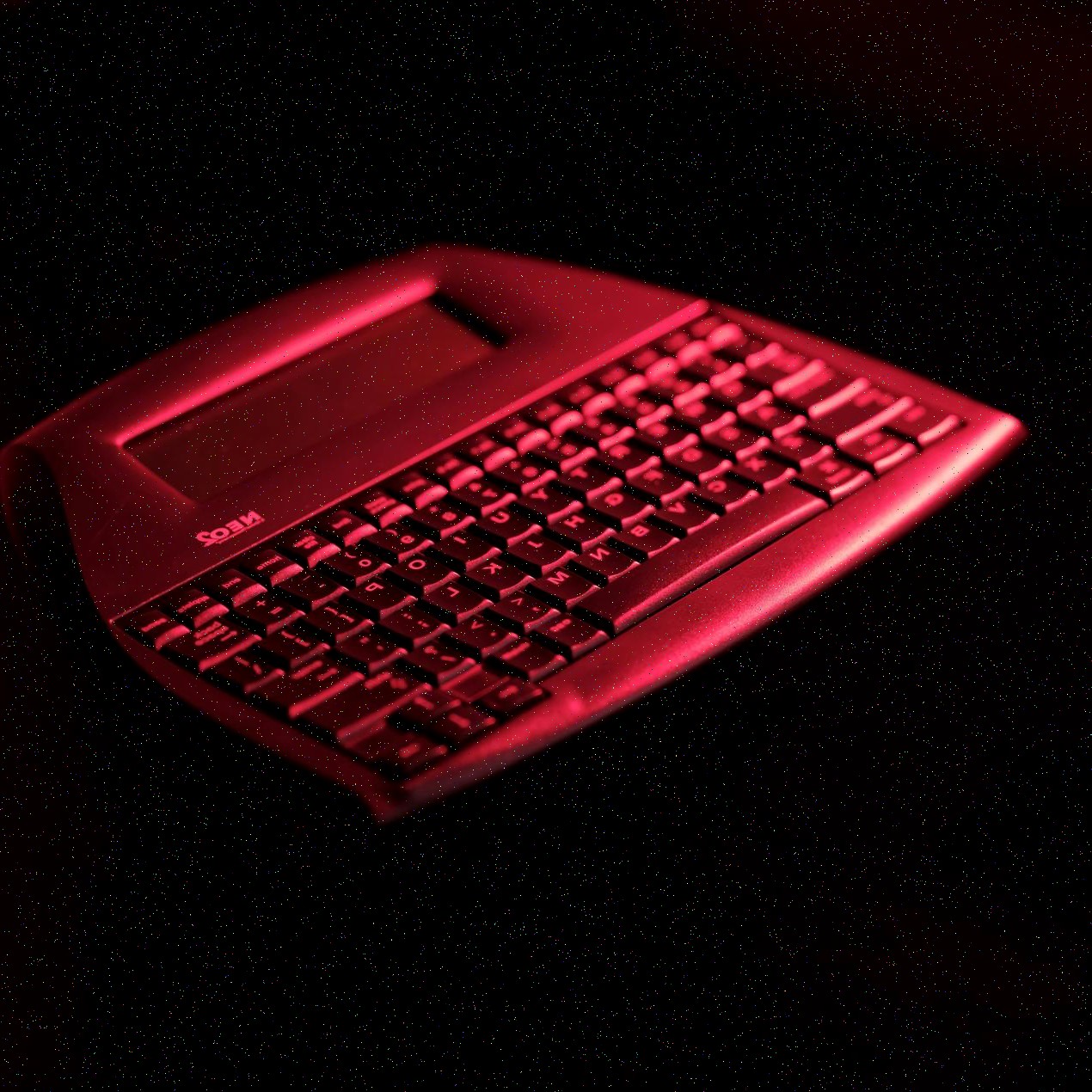 Renta temporal asistida